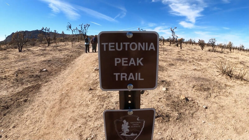 sign for Teutonia Peak Trail in Joshua Tree National Park with hikers in the background, showcasing a dry landscape with Joshua trees and a clear blue sky